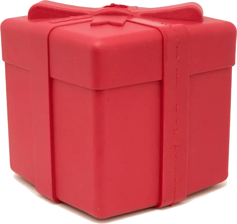 Gift Box eDispenser Durable Rubber Chew Toy & Treat Dispenser